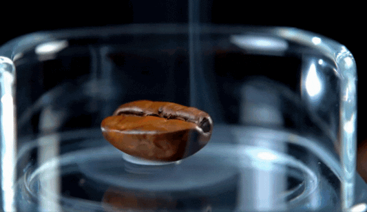 Interview: Vacuum Roasting, A New and Improved Standard for the Coffee Industry